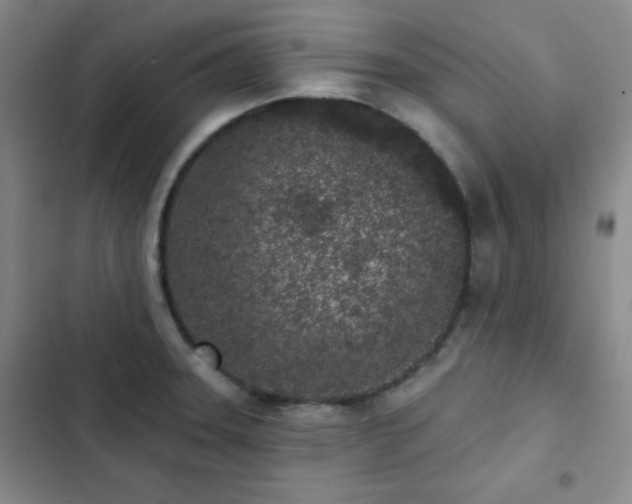 X0000103151331200808221321