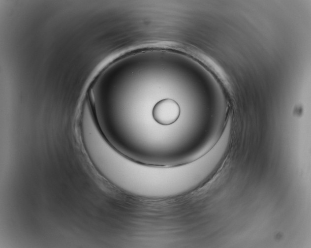 X0000103151332200808221321