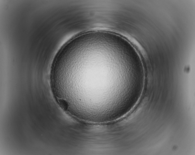 X0000103151333200808221321