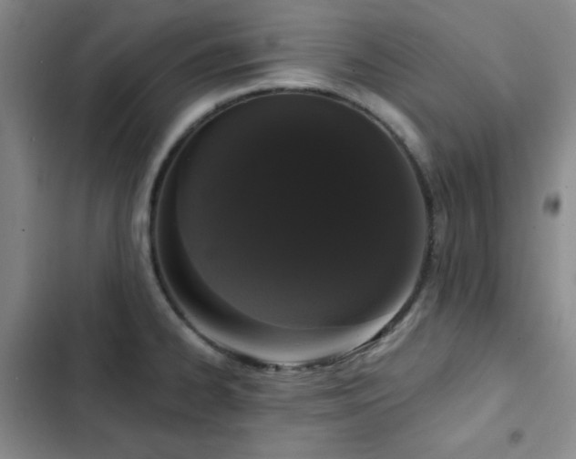 X0000103151334200808221321