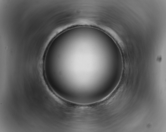 X0000103151335200808221321