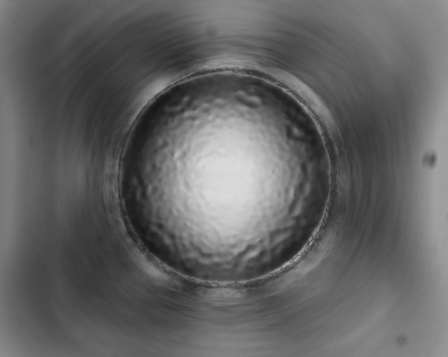 X0000103151337200808221321