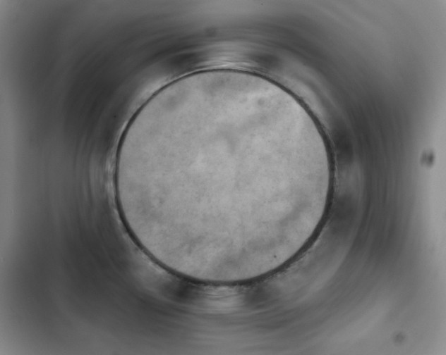 X0000103151338200808221321