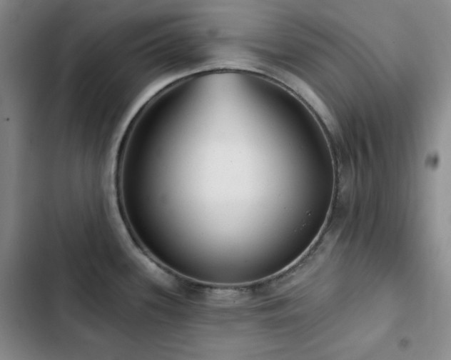 X0000103151339200808221321