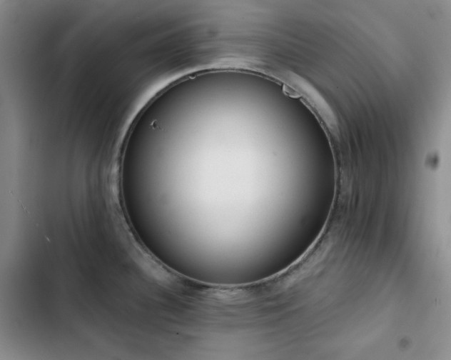 X0000103151340200808221321