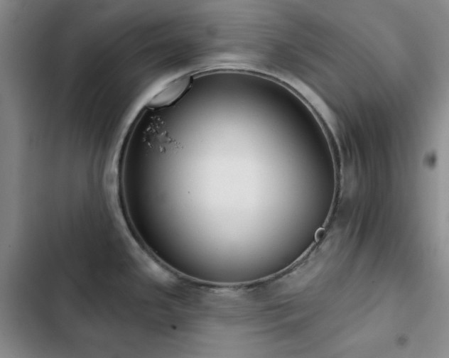 X0000103151341200808221321