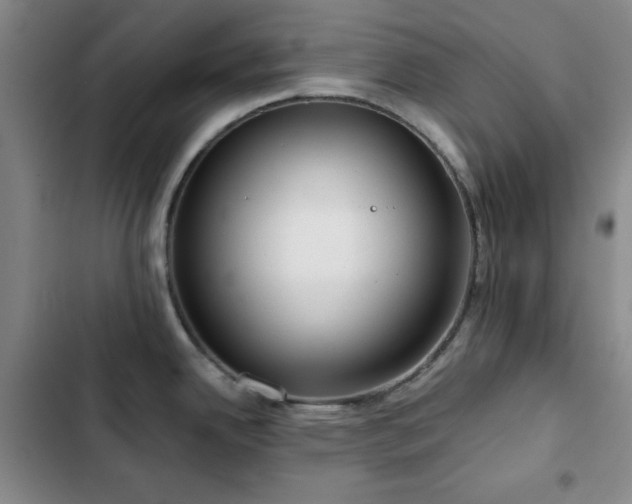 X0000103151342200808221321