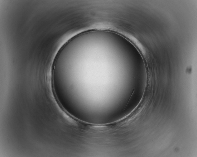 X0000103151343200808221321
