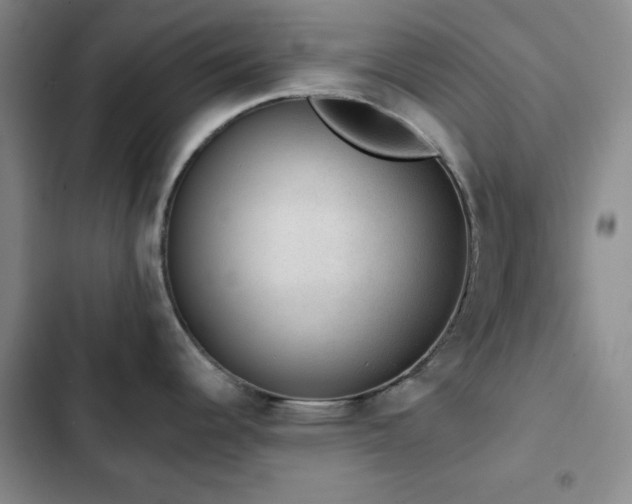 X0000103151344200808221321