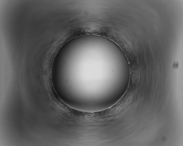 X0000103151345200808221321