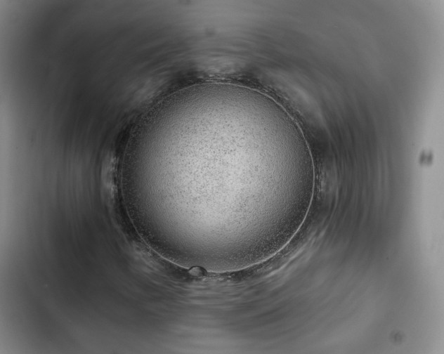 X0000103151346200808221321