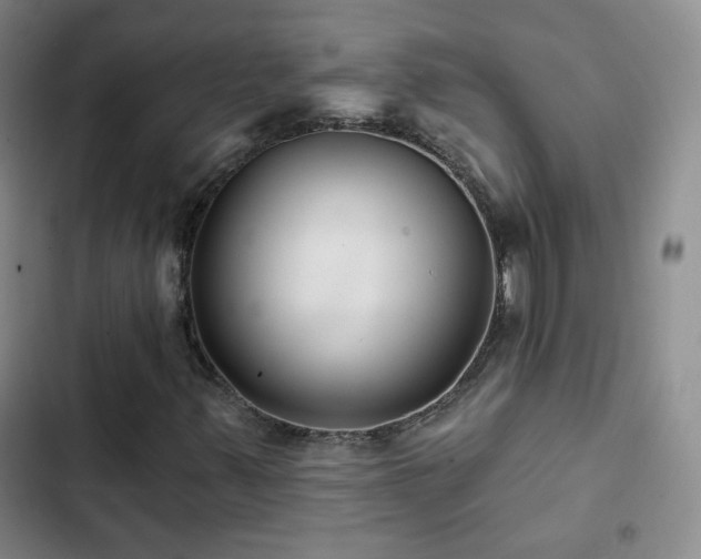 X0000103151347200808221321