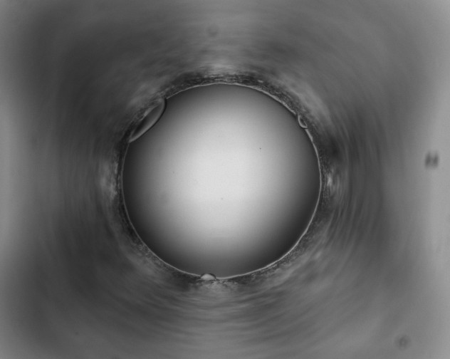 X0000103151348200808221321
