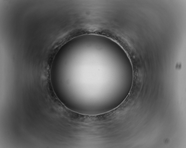 X0000103151349200808221321