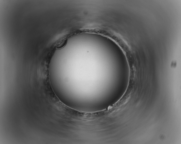 X0000103151350200808221321