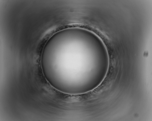 X0000103151351200808221321