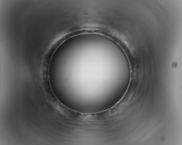 X0000103151352200808221321