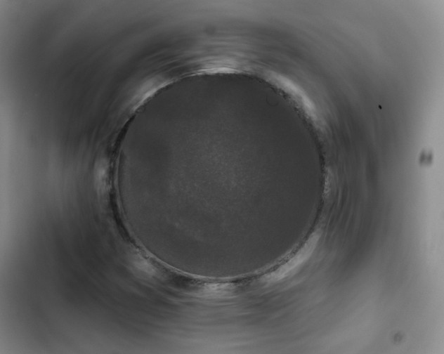 X0000103151353200808221321