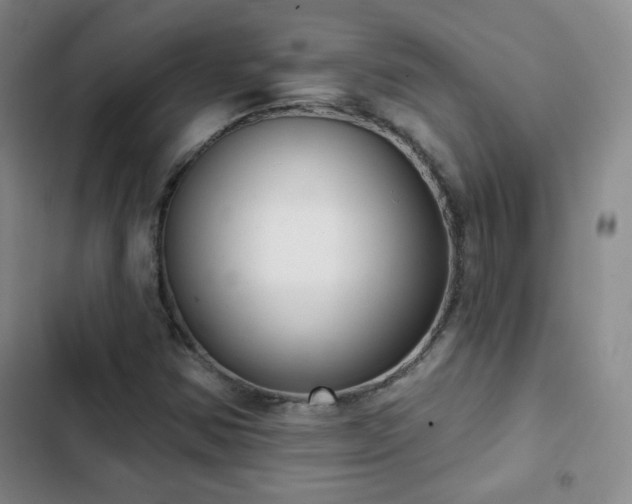 X0000103151354200808221321