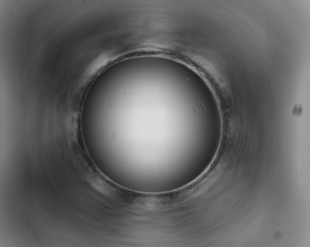 X0000103151355200808221321