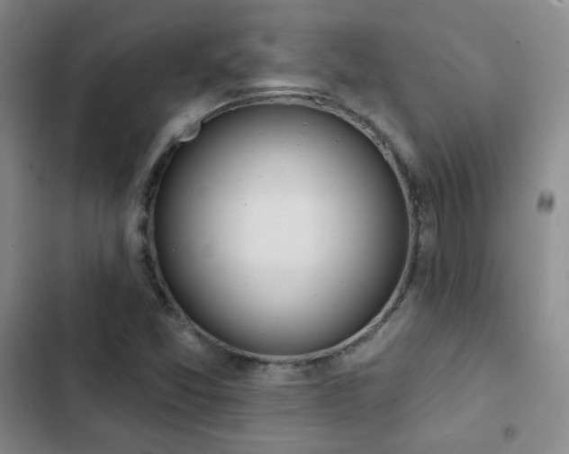 X0000103151357200808221321