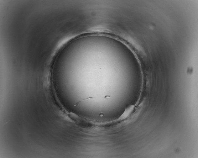 X0000103151358200808221321