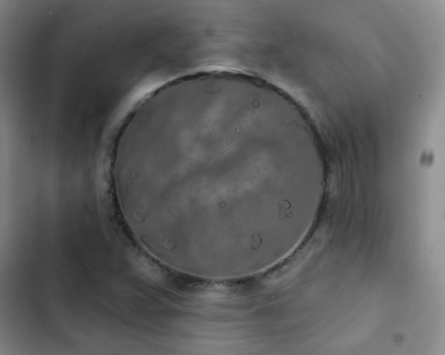 X0000103151359200808221321