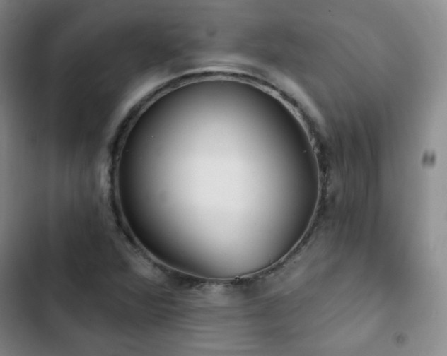 X0000103151360200808221321