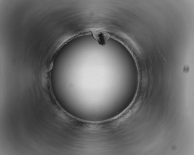 X0000103151361200808221321