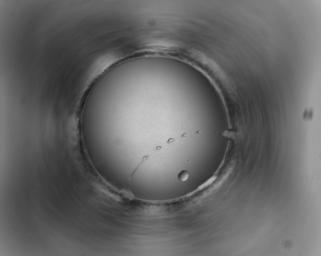 X0000103151362200808221321