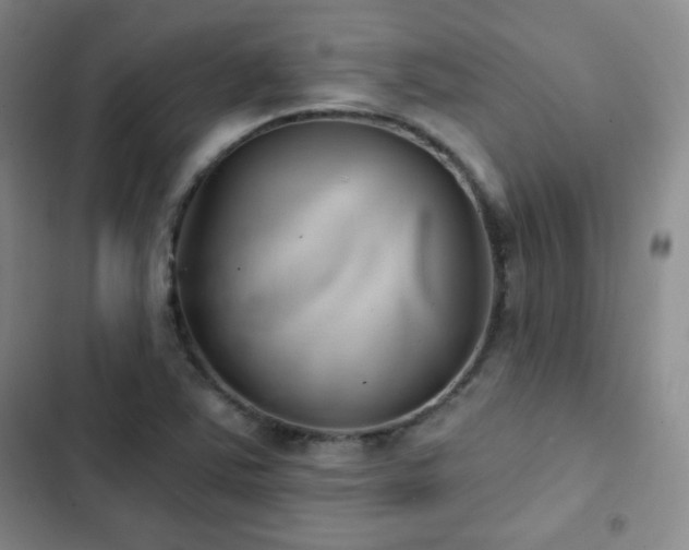 X0000103151363200808221321