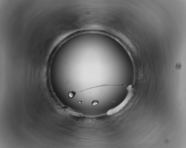 X0000103151364200808221320