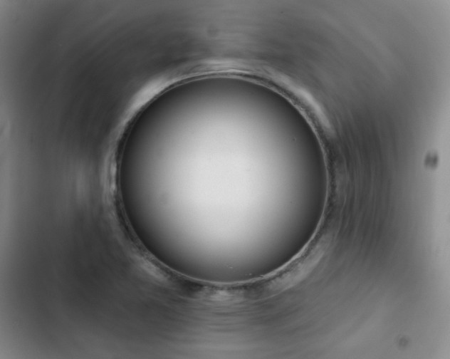 X0000103151365200808221320