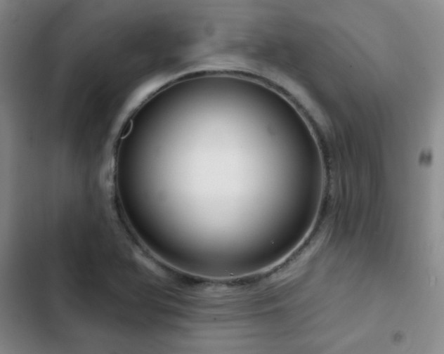 X0000103151366200808221320