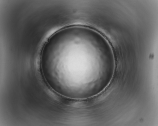 X0000103151367200808221320