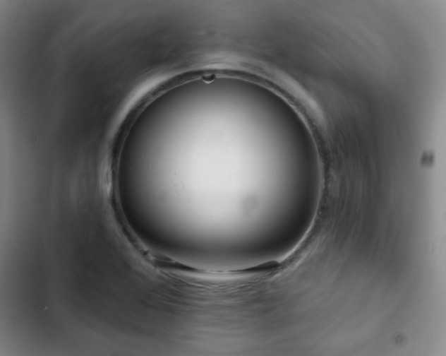 X0000103151368200808221320