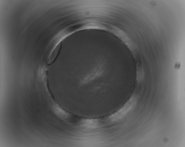 X0000103151369200808221320