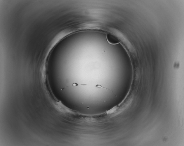 X0000103151370200808221320