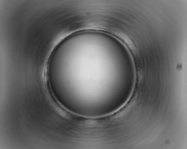 X0000103151371200808221320