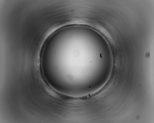 X0000103151372200808221320