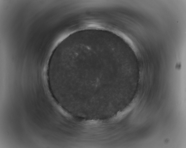 X0000103151373200808221320