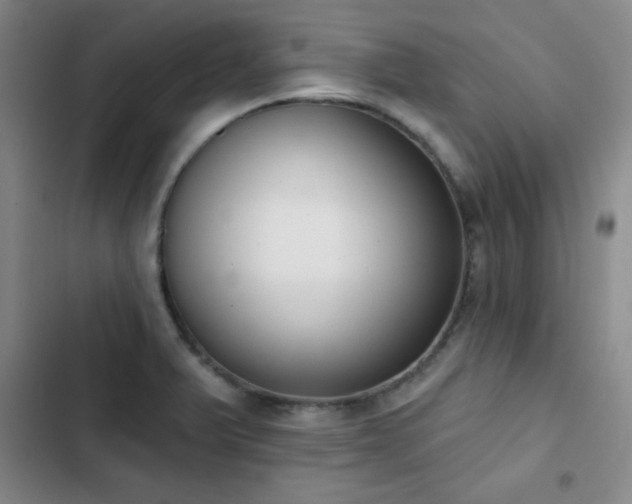 X0000103151375200808221320