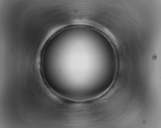 X0000103151376200808221320