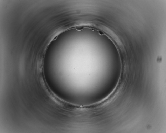 X0000103151377200808221320