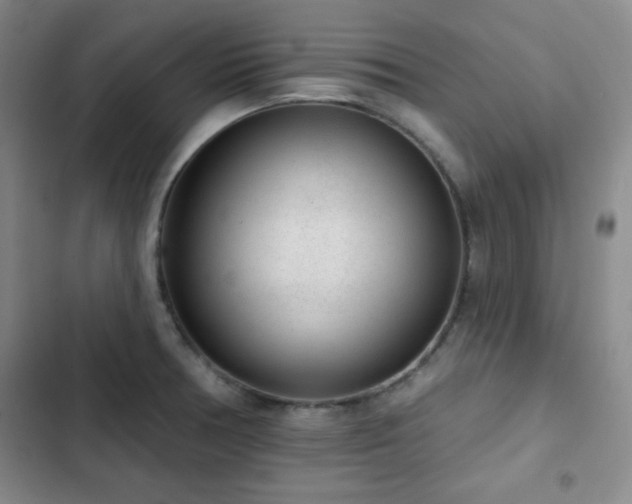 X0000103151378200808221320