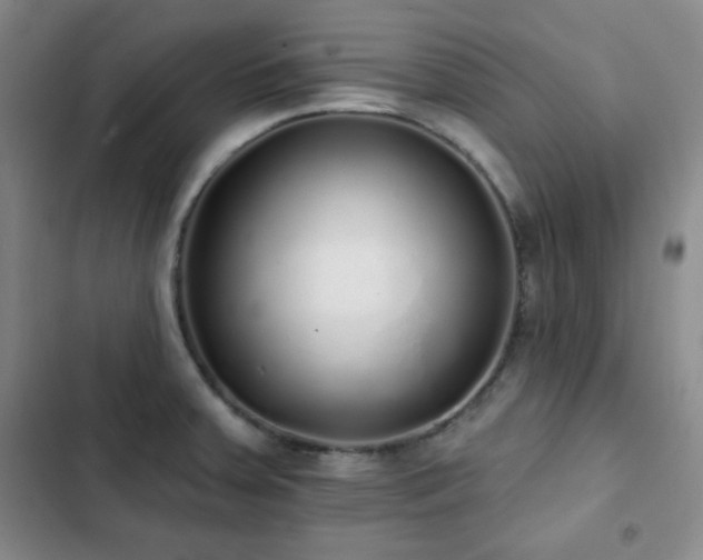 X0000103151379200808221320