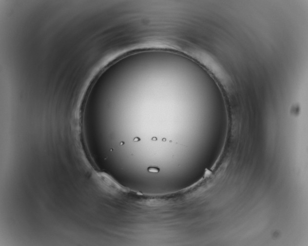 X0000103151380200808221320