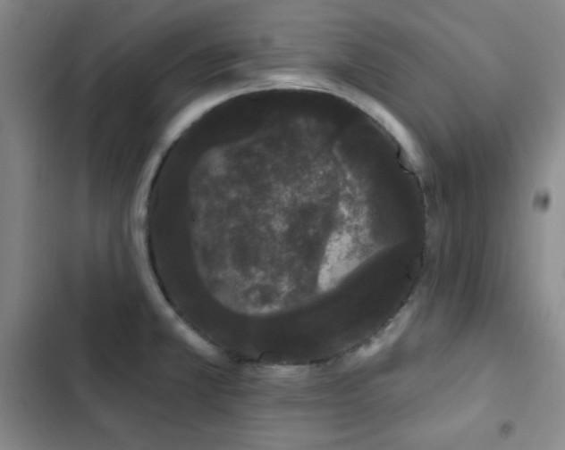 X0000103151381200808221320