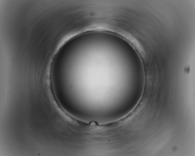 X0000103151382200808221320