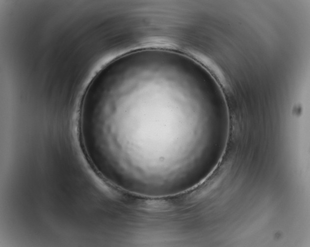 X0000103151383200808221320